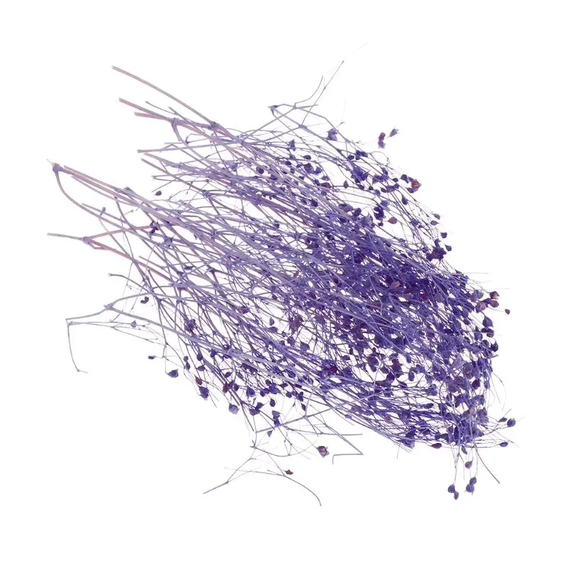 2SS303558-1