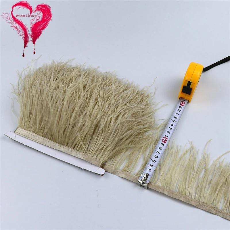 47 ostrich feather fringe 5