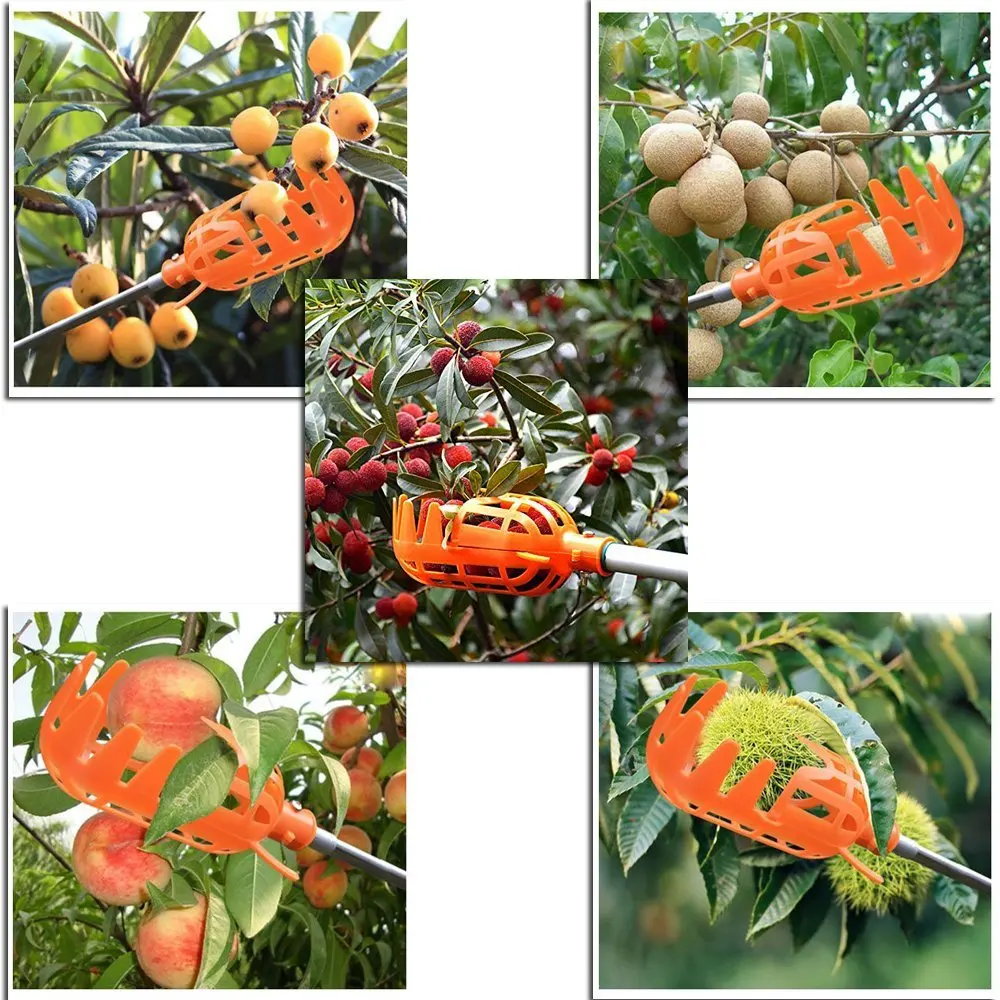 8 MPT Plastic Fruit Picker Without Pole Catcher for Harvest Picking Apple Mango Pear Peach Kiwi Lemon Tree Harvester Tool (Small)
