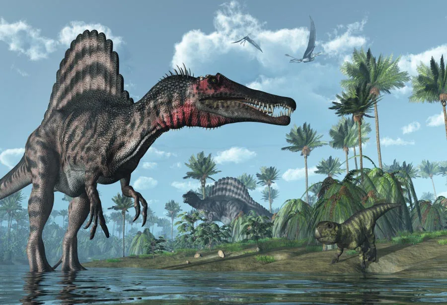 

Laeacco Jurassic Dinosaurs World Scenery Photography Backdrops Vinyl Backdrop Custom Camera Backgrounds Props For Photo Studio