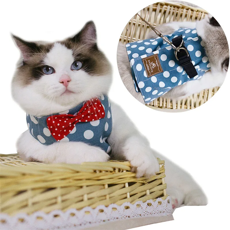 small dog harness