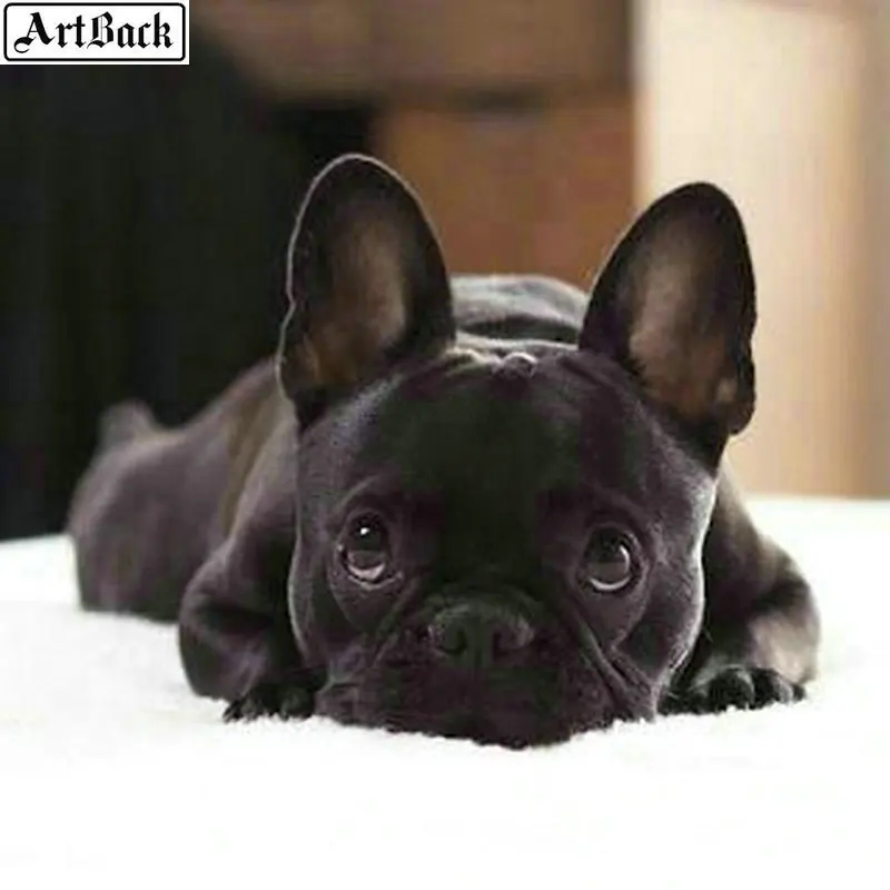 5d diy Алмазная картина Французский бульдог полный квадрат черная собака pet стикер