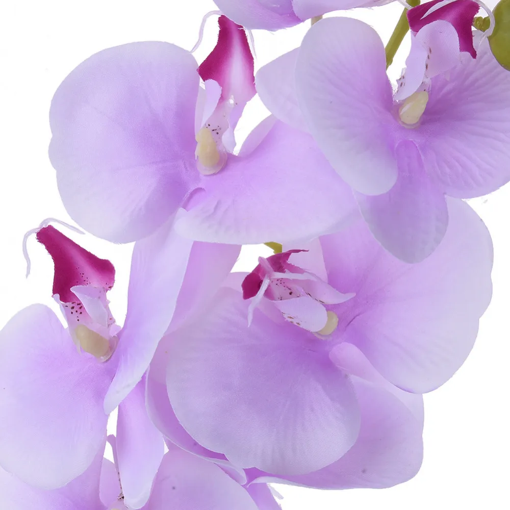 ZS313Lightpurple (3)