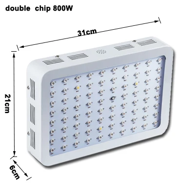 800W