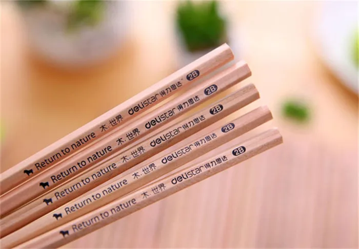 3164987549_1904087305_