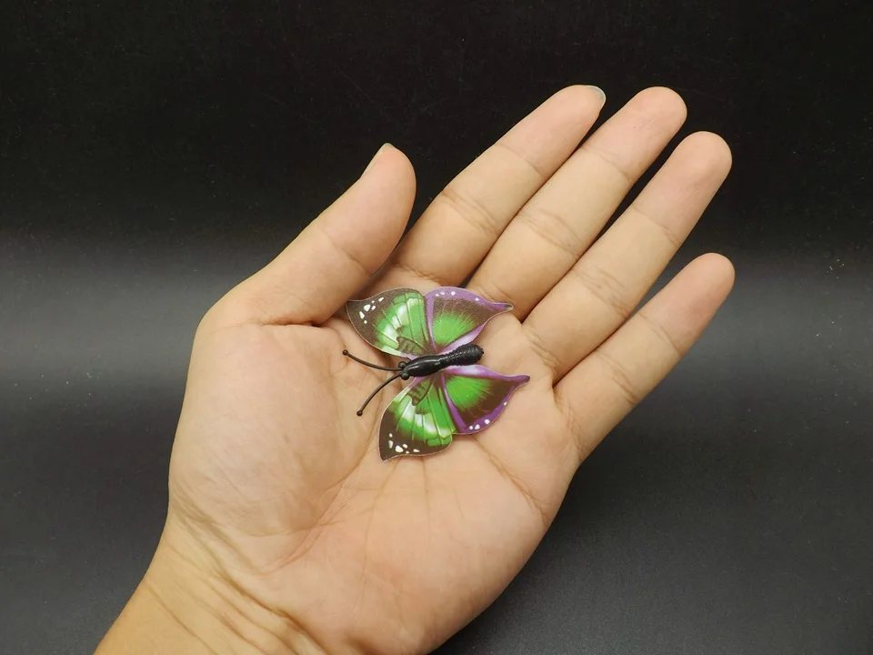 I253-Butterfly (5)