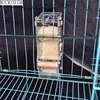 Bird  Automatic feeders Starling Parrot Bird equipment Diet Tools Small Bird Feeder Transparent New Bird food containers 2pcs ► Photo 3/6