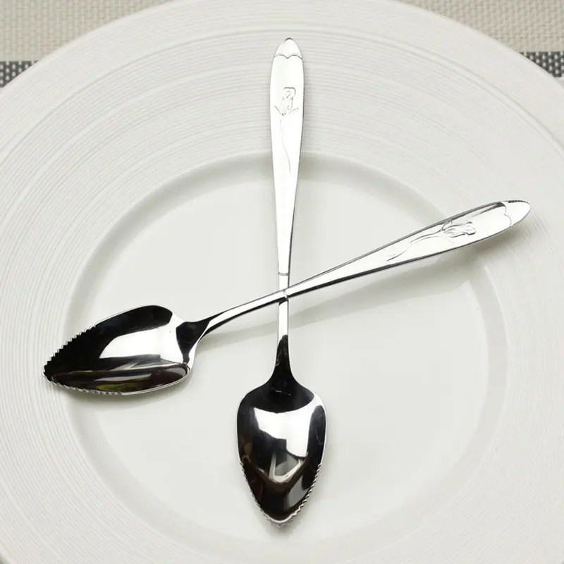 ZORASUN 2PCs Fruit Grapefruit Spoons Stainless Steel Grapefruit Spoons 17cm Long Handle Fruit Spoon Fork