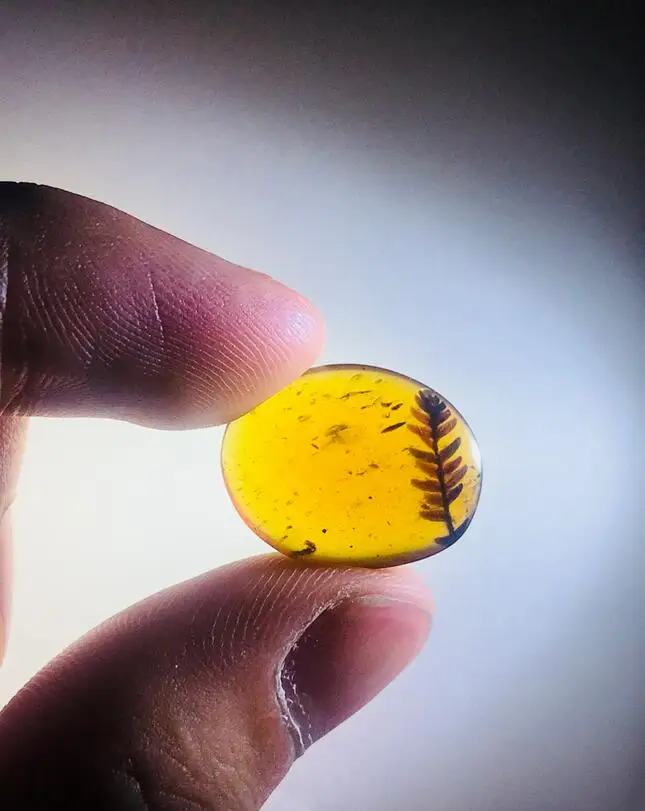 

Cretaceous very leaf of Metasequoia burmite Untreated Myanmar Amber insect 100 million year lynx stone mens jewelry accessory