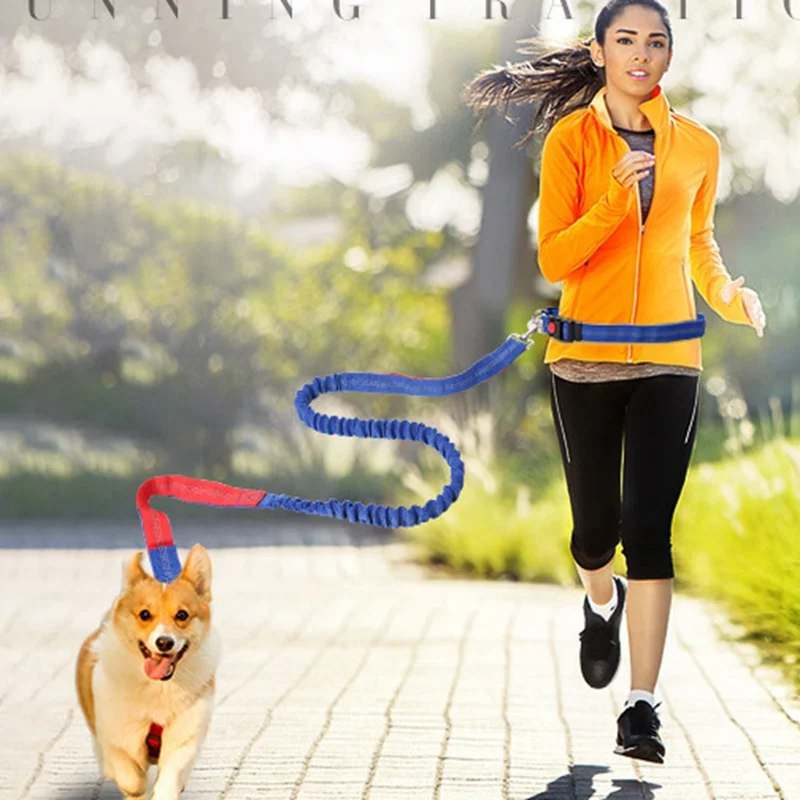 Nylon Hands Free Leash for Dogs Elastic Dog Collar&Leads Adjustable