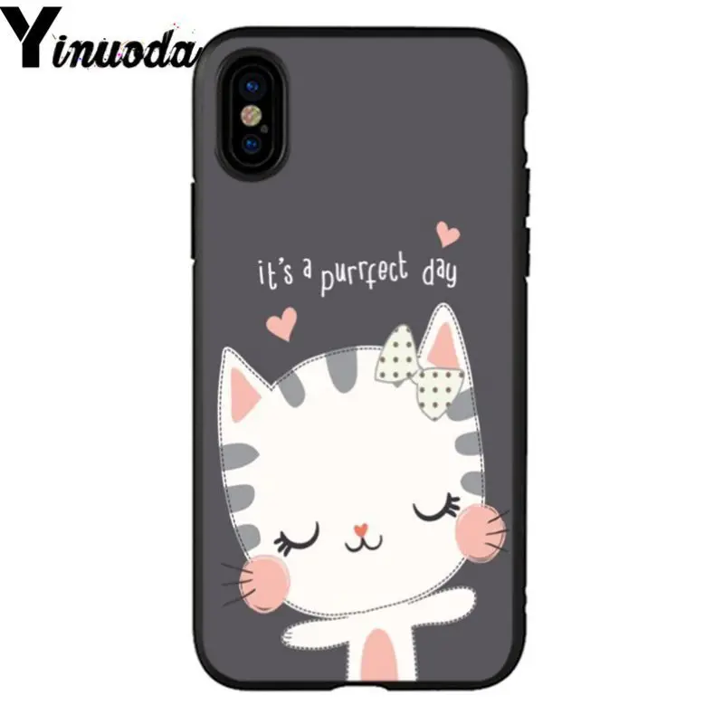 Cute Cats 