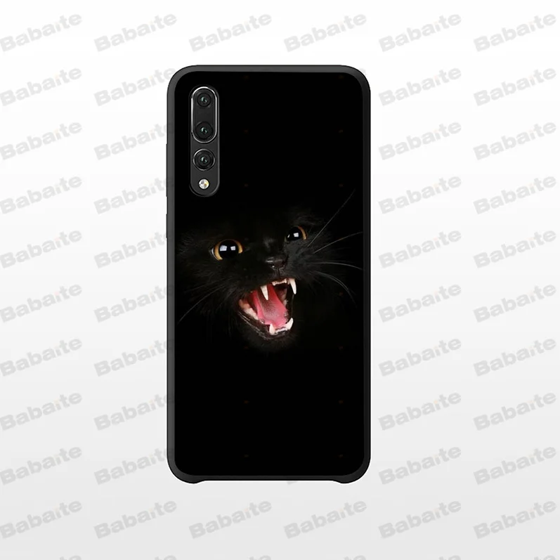 Black Cat Staring Eye