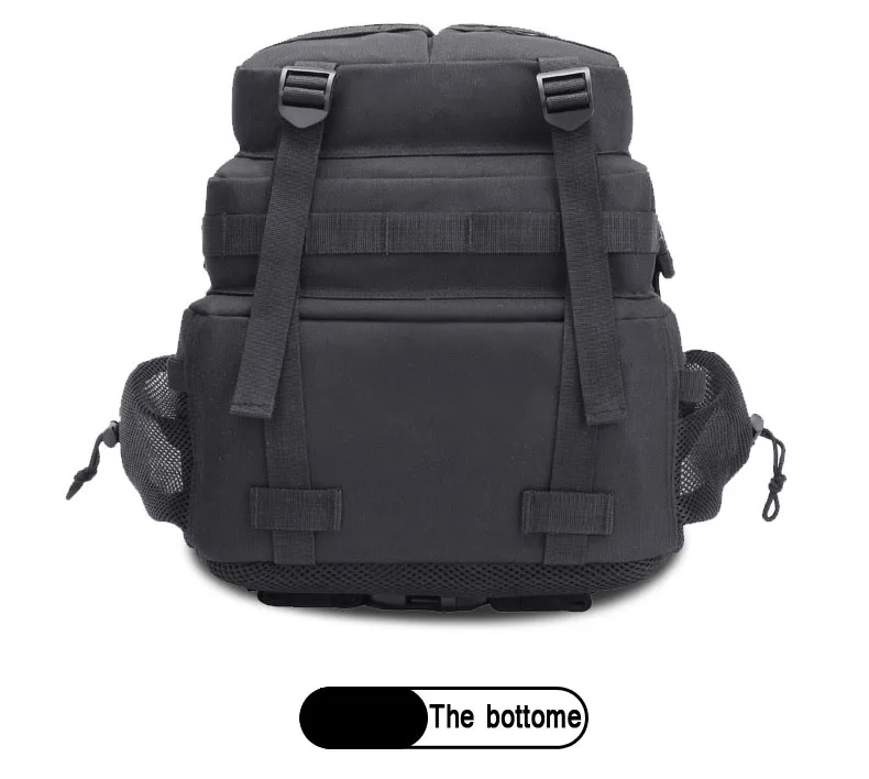 PP  (6)