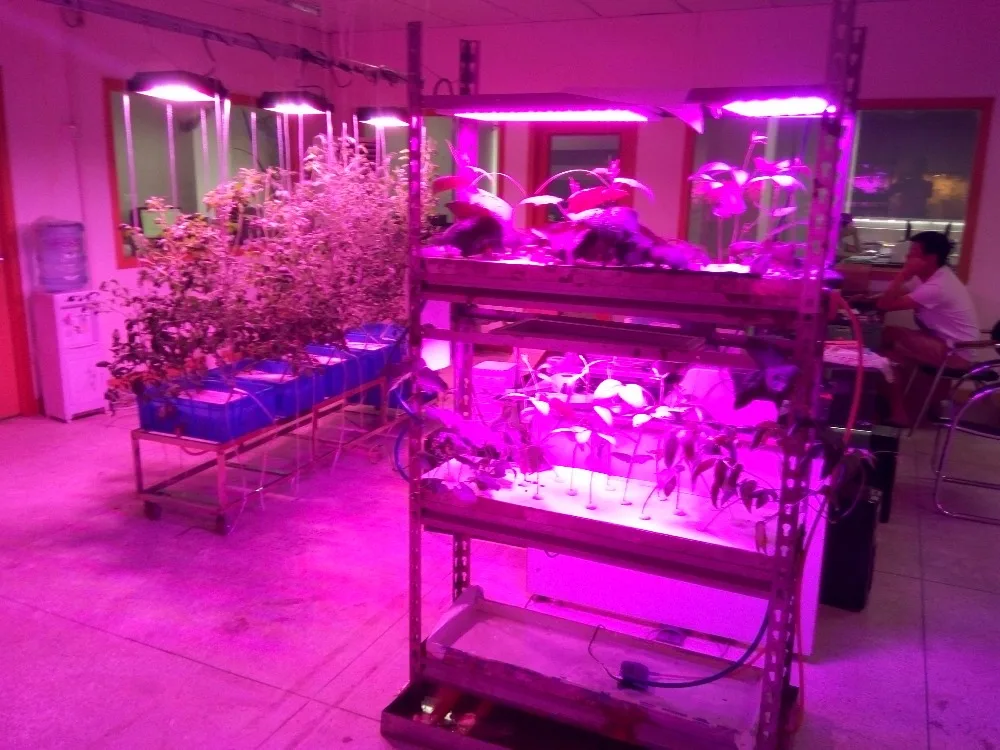 25 Вт 47W светодиодный Grow светильник Панель садоводства ing Group Quantum доска Veg & Bloom 4000K