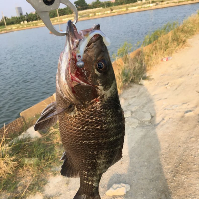 Fishing Soft Lure T Tails Bait Fish Jighead Texas Wacky Rig