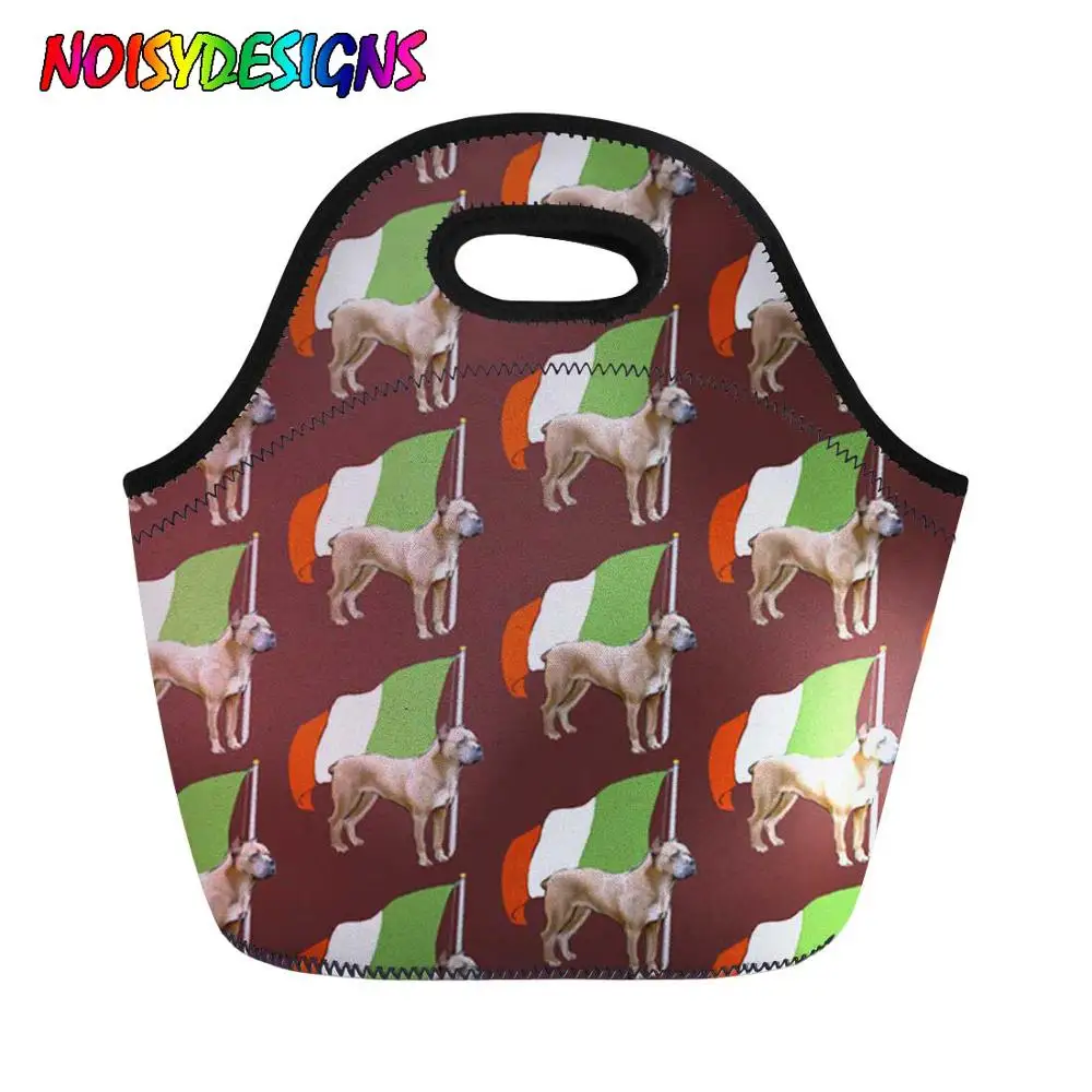 Impressão de Mão Bolsas de Comida de Armazenamento Noisydesigns Mulheres Bolsa Térmico Almoço Térmica Cane Corso Italiano Bandeira Tote Lady Viagem Piquenique Refeição