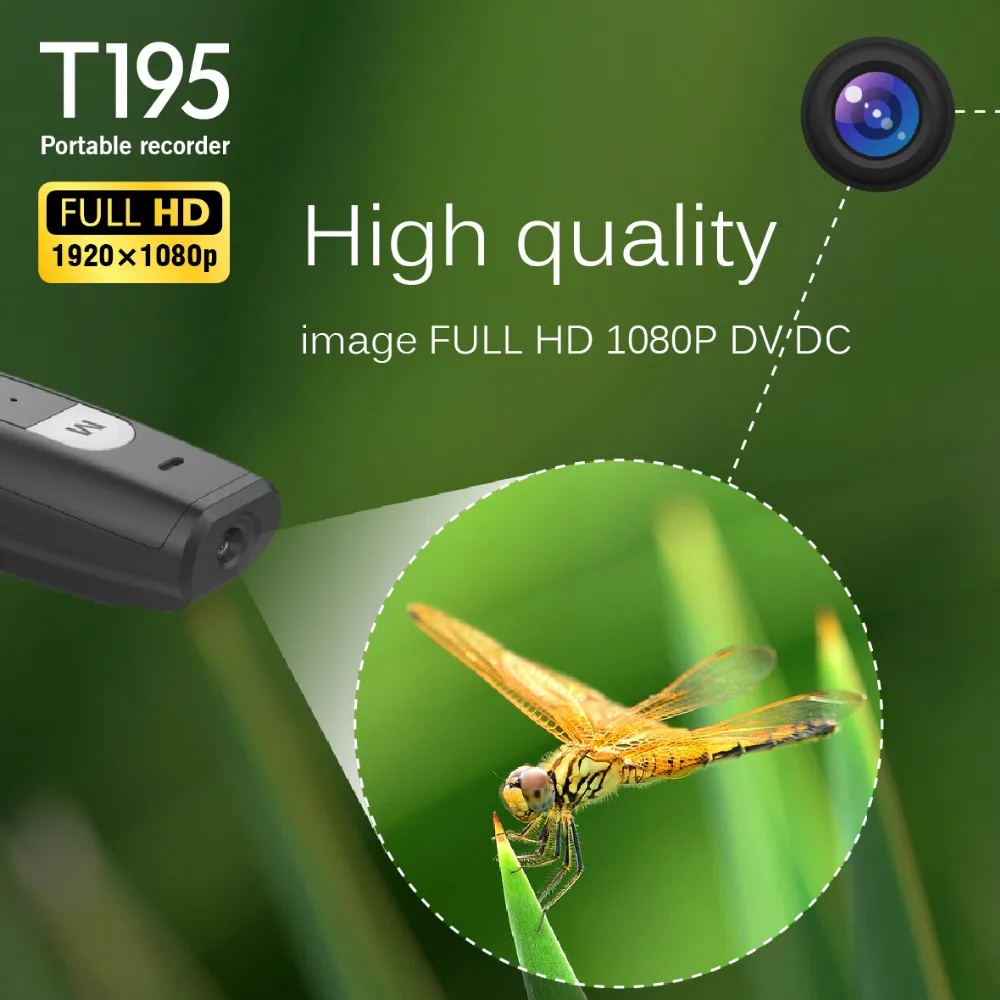 T1954