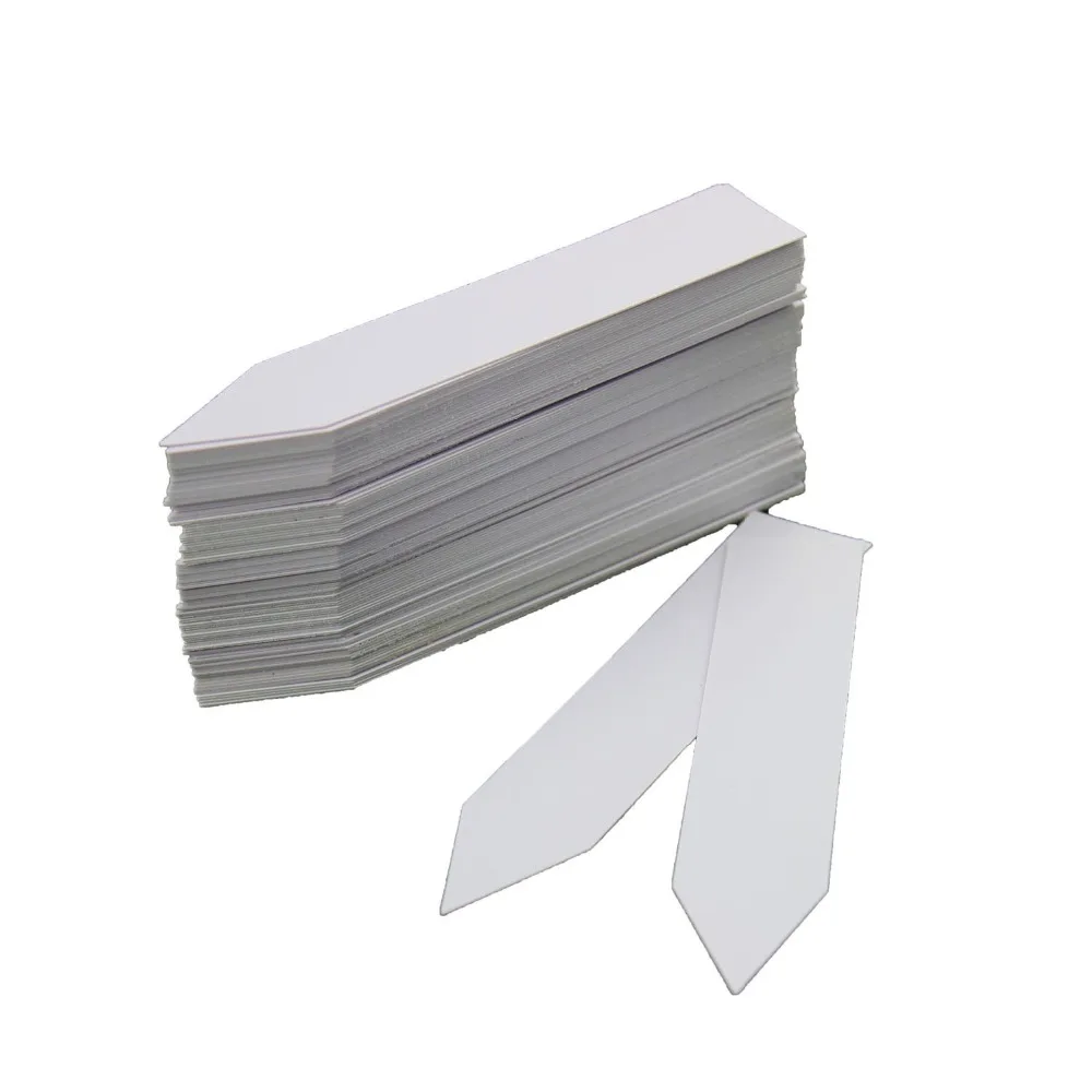 61jWbZlmRGL._SL1500_
