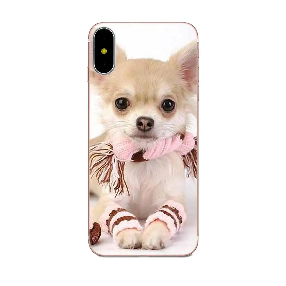 Цветной постер для Sony Xperia Z Z1 Z2 Z3 Z4 Z5 compact Mini M2 M4 M5 T3 E3 E5 XA XA1 XZ Premium Pomeranian Dogs