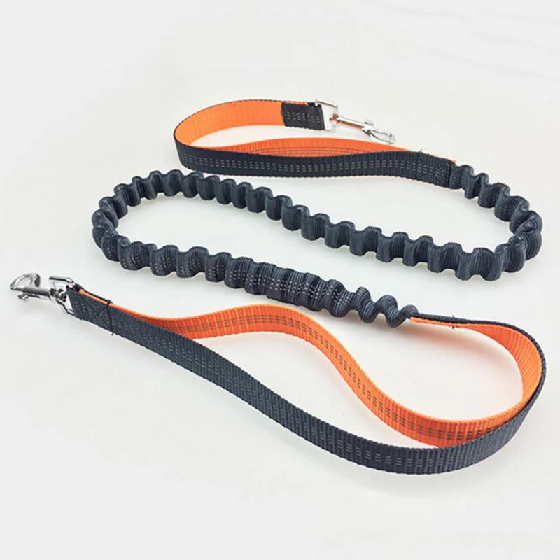 Carrywon Pet Interactive Running Leash and Waist Dog Leashes Lead Pets