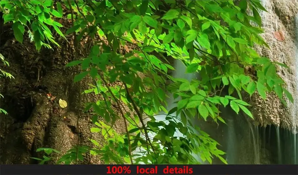 36020171115225248281