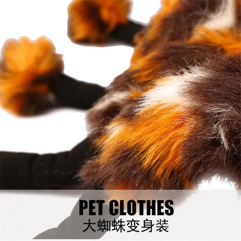 pet 01