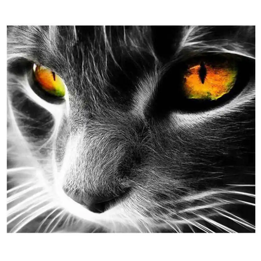 WEEN Черный кот Сделай Сам масляной Набор для рисования по номерам животные настенные художественные картины Домашний декор панда Акриловая Краска на холсте для искусства 40*50