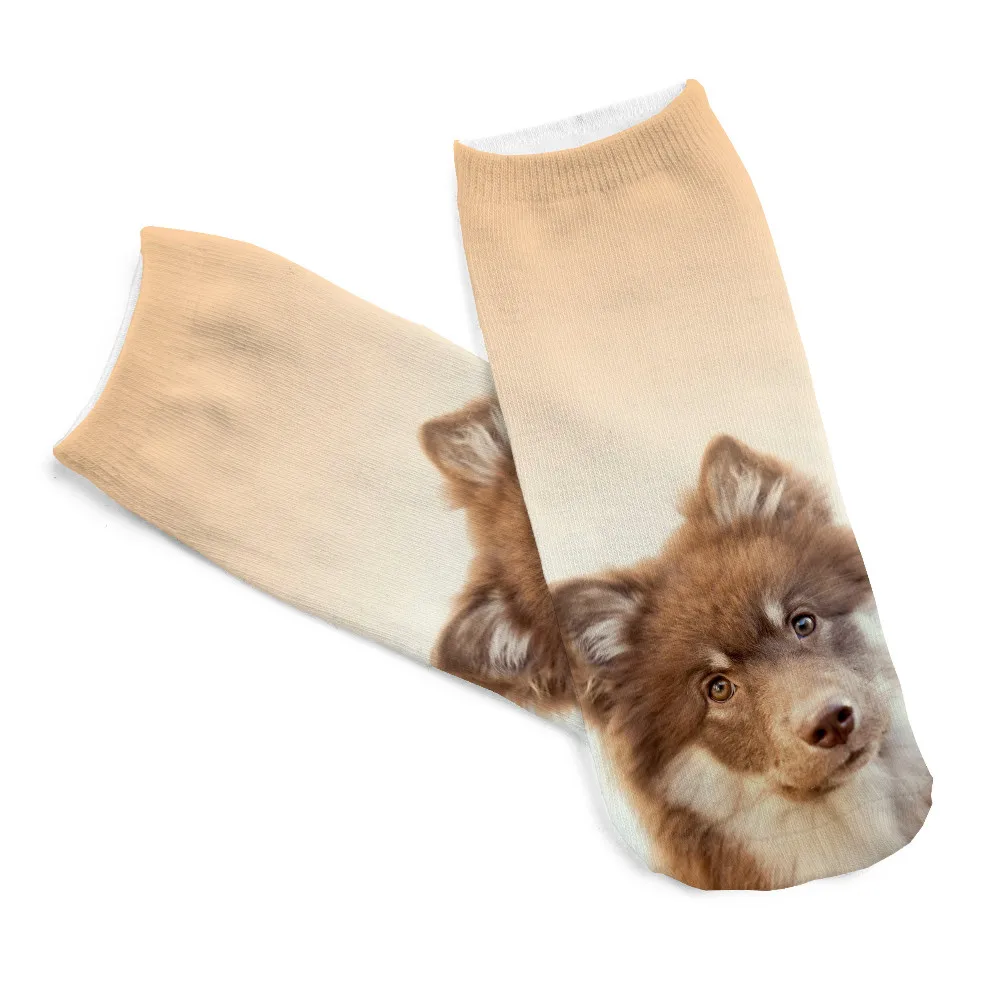 Новые женские цветные хлопчатобумажные носки с изображением бульдога
