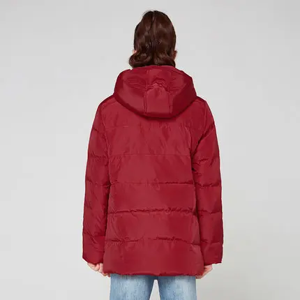 Down Jacket Women's Winter Parkas Long Down Coat 2018 Ladies Grey Duck Down Jacket Solid Hooded Coats Plus Size LZ961 (2)