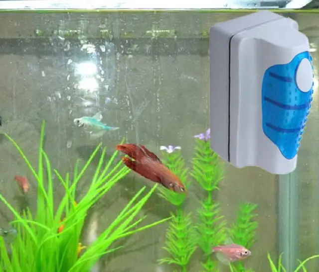 magnetic brush aquarium fish