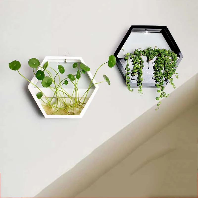 

Brief Handmade Acrylic Chlorophytum Flower Pot Hanging Wall Scindapsus Hydroponics Plant Vase Home Living Room Modern Decoration