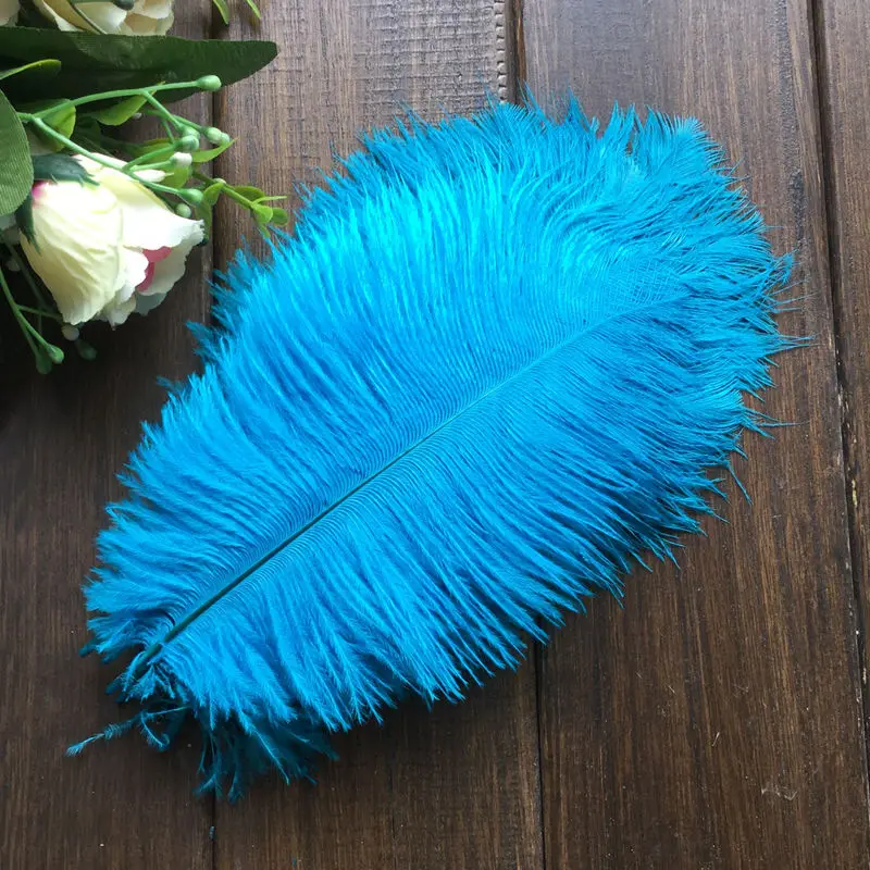 Ostrich feather9