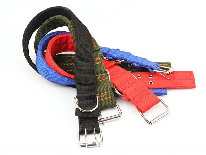 pet dog collar-