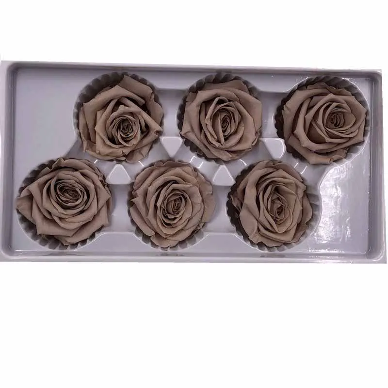 Уровень B сохраненные свежими розовыми цветами бессмертная роза 5-6 см диаметр День матери DIY Свадьба вечная жизнь цветок материал подарок - Цвет: Light Coffee