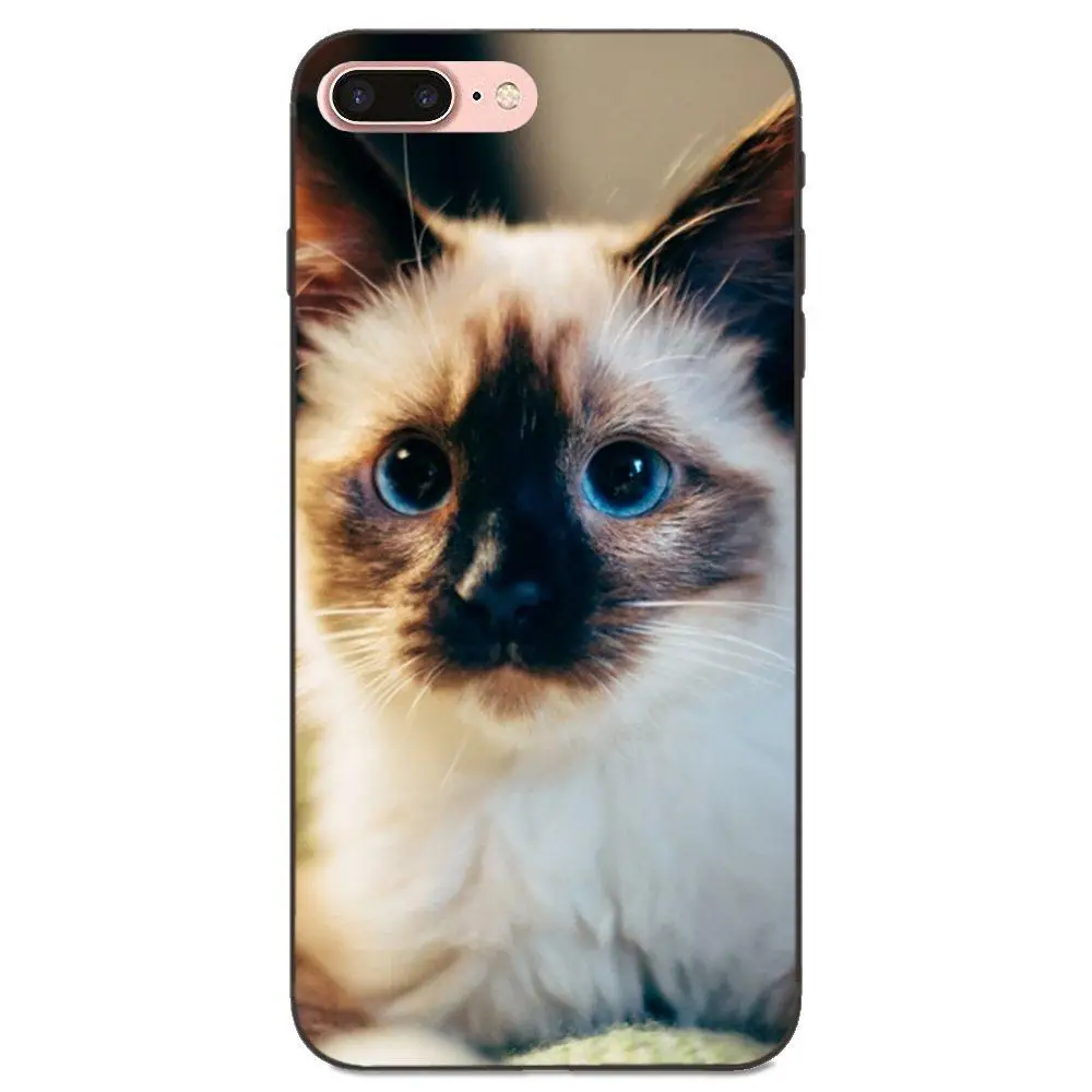 Мягкие сумки из ТПУ чехлы забавные сиамские кошки Pet для Galaxy C5 C7 J1 J2 J3 J330 J5 J6 J7 J730 2017