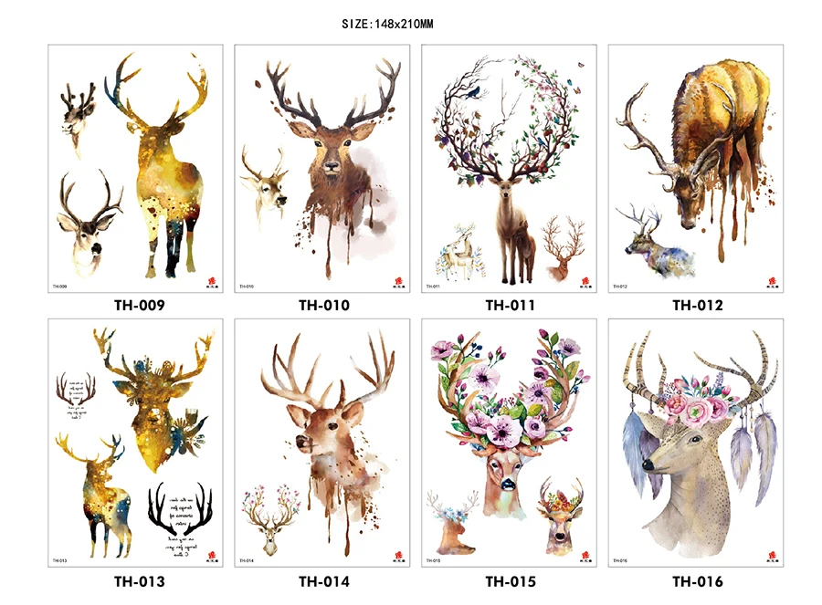 8724556352_1323257295