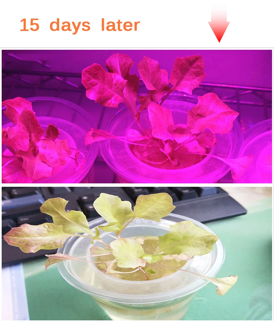 -_13
