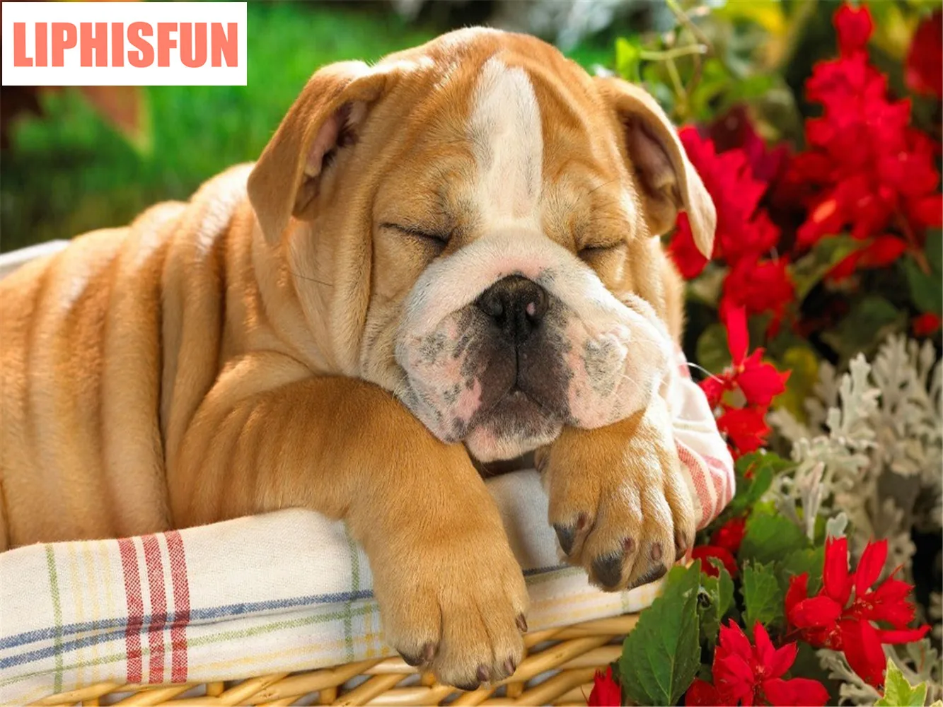 LIPHISFUN Diy Diamond Painting Animal Cross Stitch Resin Square Sets Unfinished Full Embroidery Dog | Дом и сад