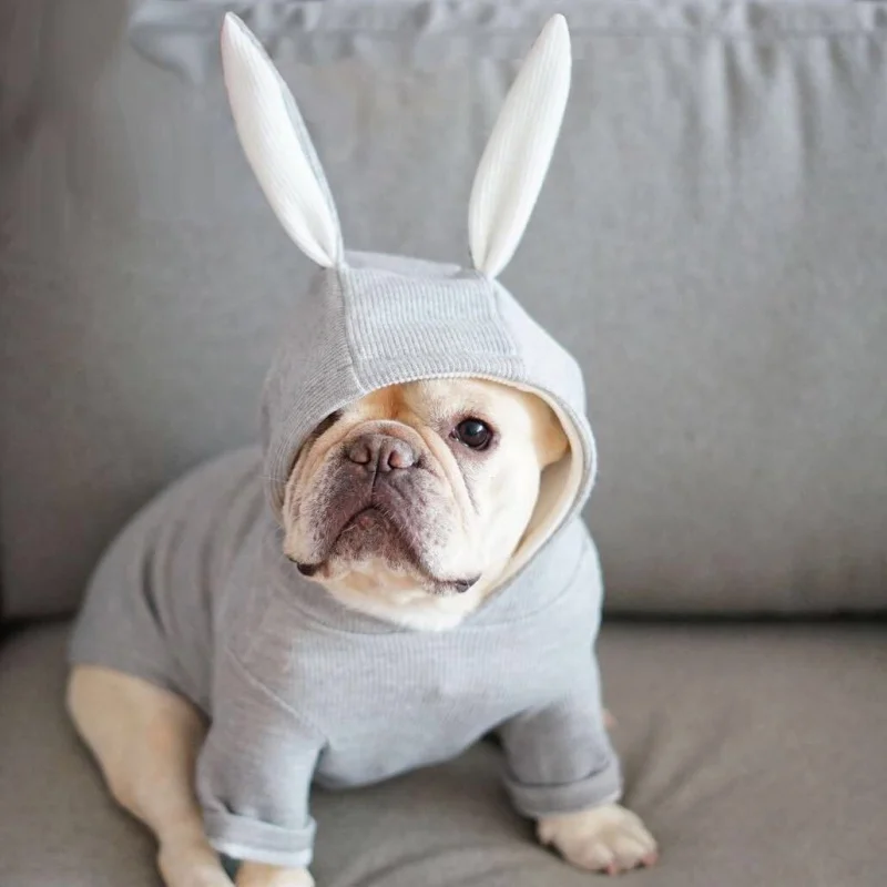 

Pet Cotton Coats Dogs Hoodie Sweatshirt Dog Clothes Cat Coat Jacket Puppy Apparel with Rabbit Ears Solid Cloth for Chihuahua