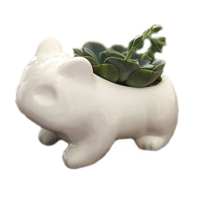 Pokemon Bloempot Bulbasaur цветочные горшки с отверстиями декоративные мини сочные