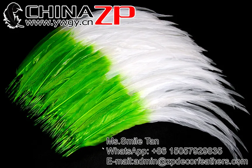 65~70cm green with white tip dould color silver pheasant feather  (2)