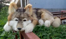 simulation animal 38x24x14cm prone wolfhound toy model lifelike dog toy home decoration gift w001