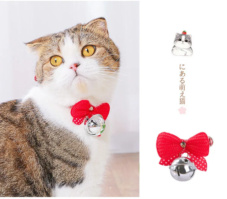 9338813359_486253526