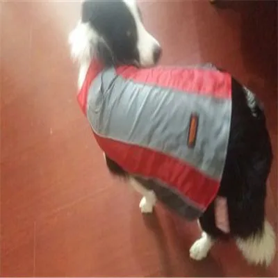4060