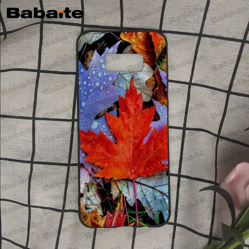 Falling Leaves Maple Leaf autumn