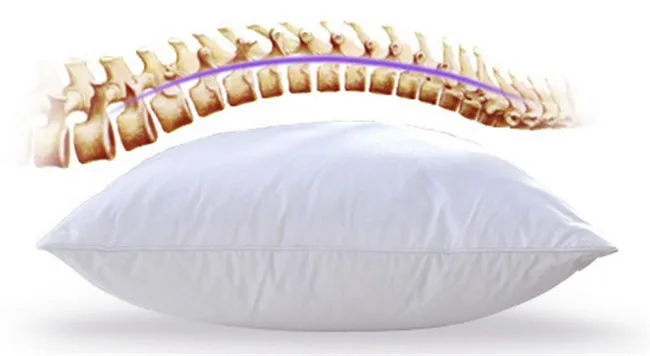 pillow inner12