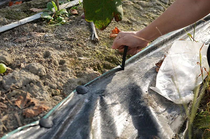 HTB1uOgIRFXXXXXWXFXXxh4dFXXX3