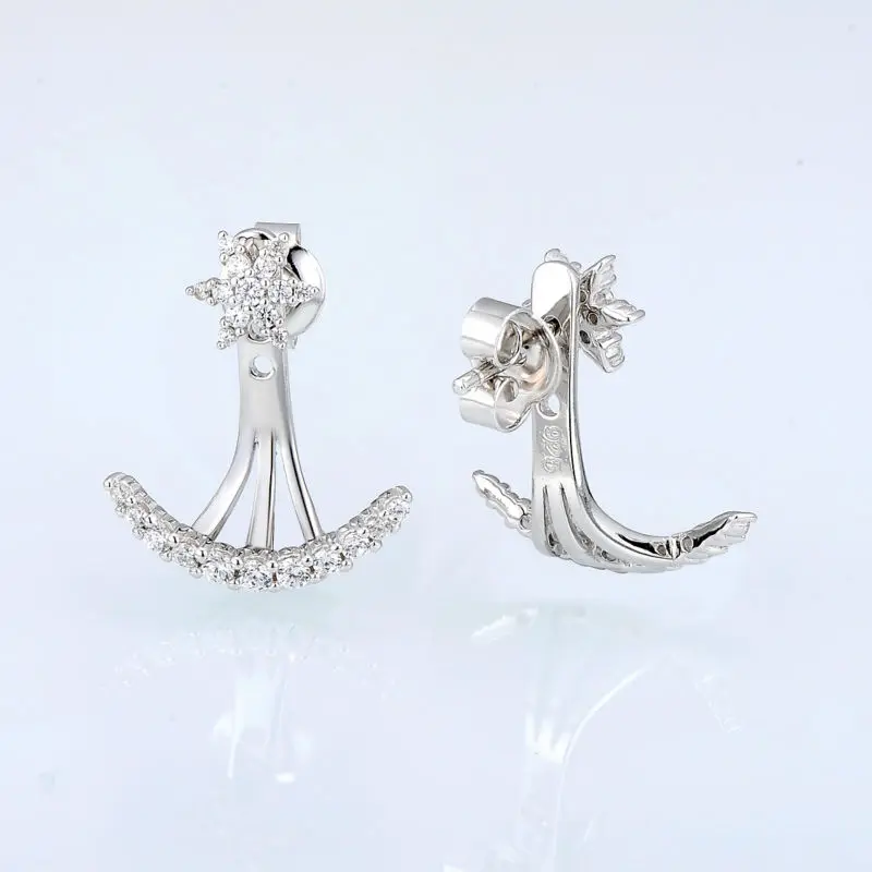 E308737WCZSL925-SV3-Silver Earrings