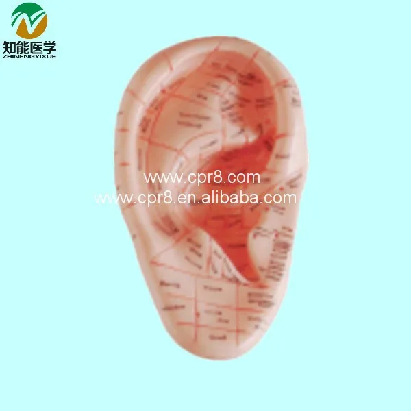 BIX-Y1024 Massaging ear model 12 cm_01