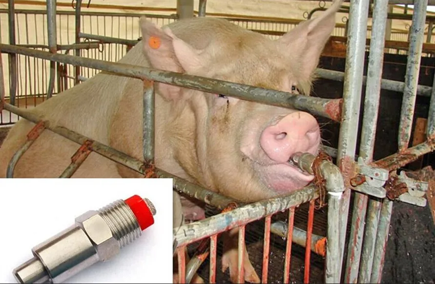 3" New Pig Nipple Water Drinker Automatic Sheep Water Piglet Drink Goat dog hog 